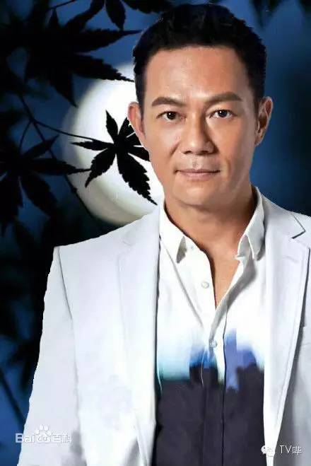 马伊琍与剧中男星各种纠缠