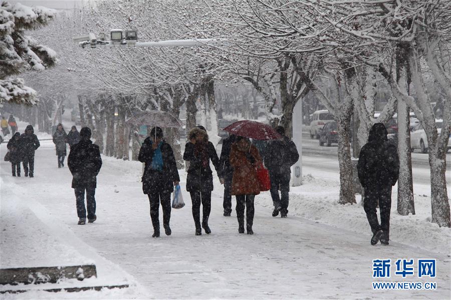 #（生态）（4）阿勒泰再降大雪 新疆多地发布气象灾害预警