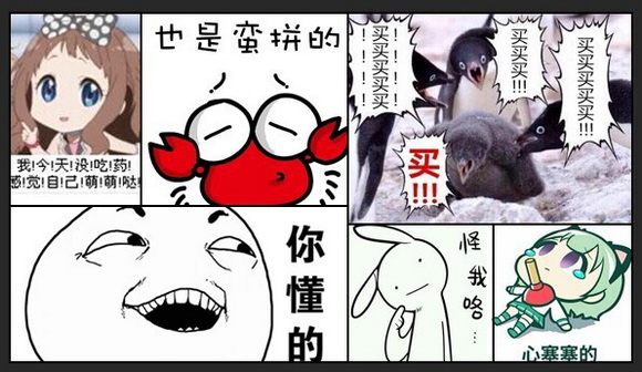 [网络流行语]2014就是那么任性 网友都醉了