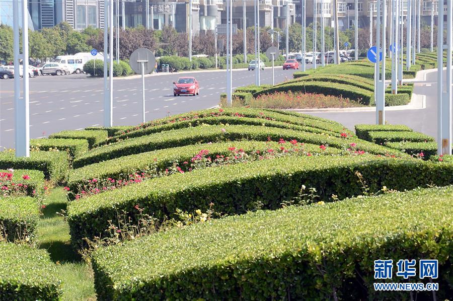 （XHDW）（4）有生命力的国际新城——走访上合组织峰会召开地郑东新区