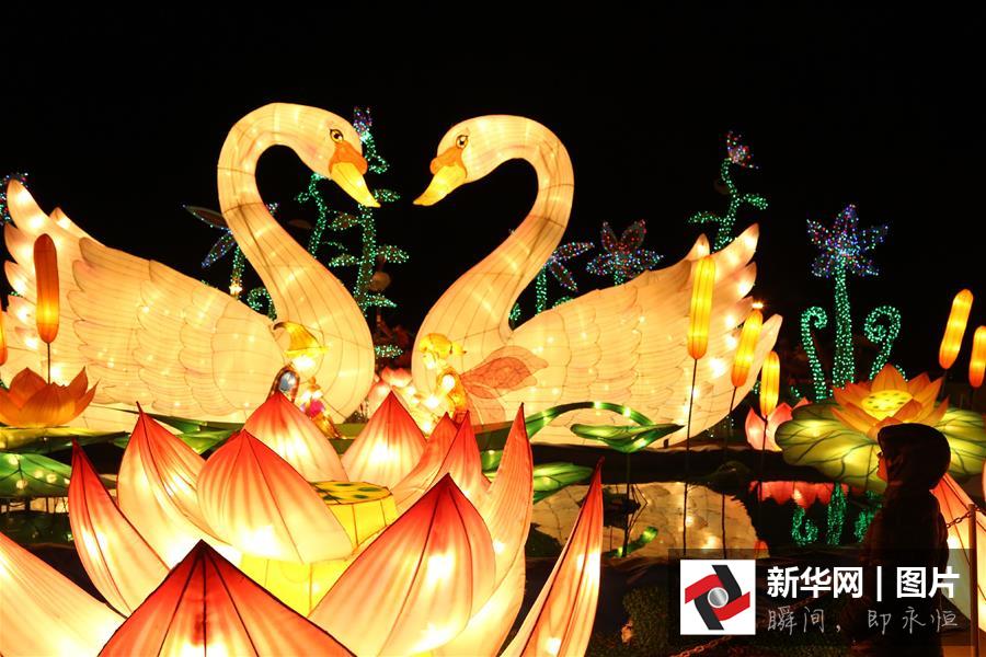 （XHDW）（4）中國綵燈閃亮美國加州聖誕夜