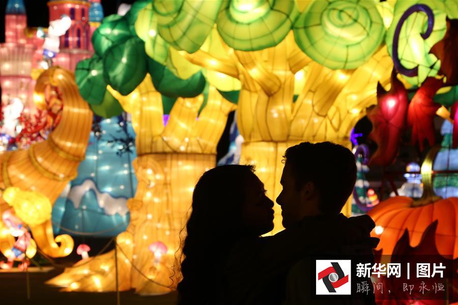 （XHDW）（7）中國綵燈閃亮美國加州聖誕夜