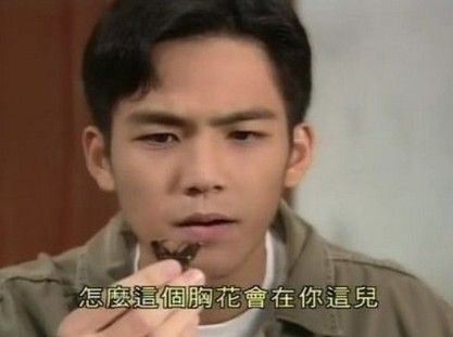 林依晨刘德华钟汉良 万万想不到他们竟演过这