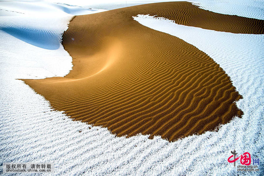 被风侵蚀的奇特沙纹。中国网图片库 马新民 摄
