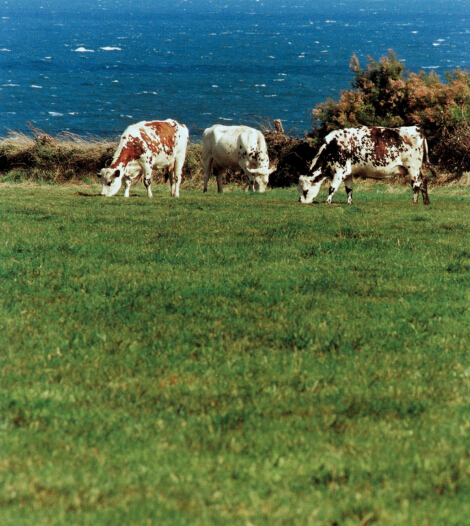 合生元奶粉产地是法国吗