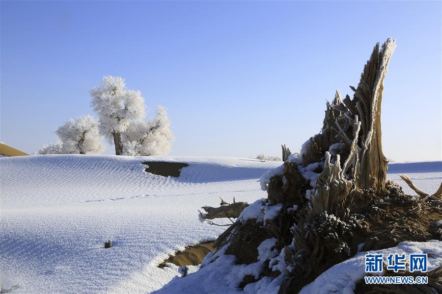 死亡之海塔克拉玛干沙漠频现雾凇奇观组图