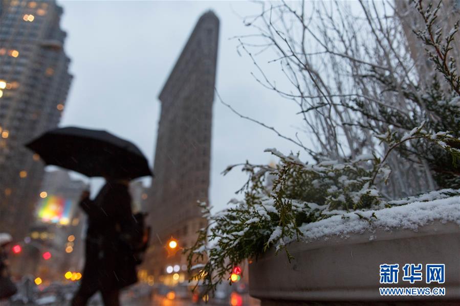 （國際）（1）紐約迎來2016年第一場降雪