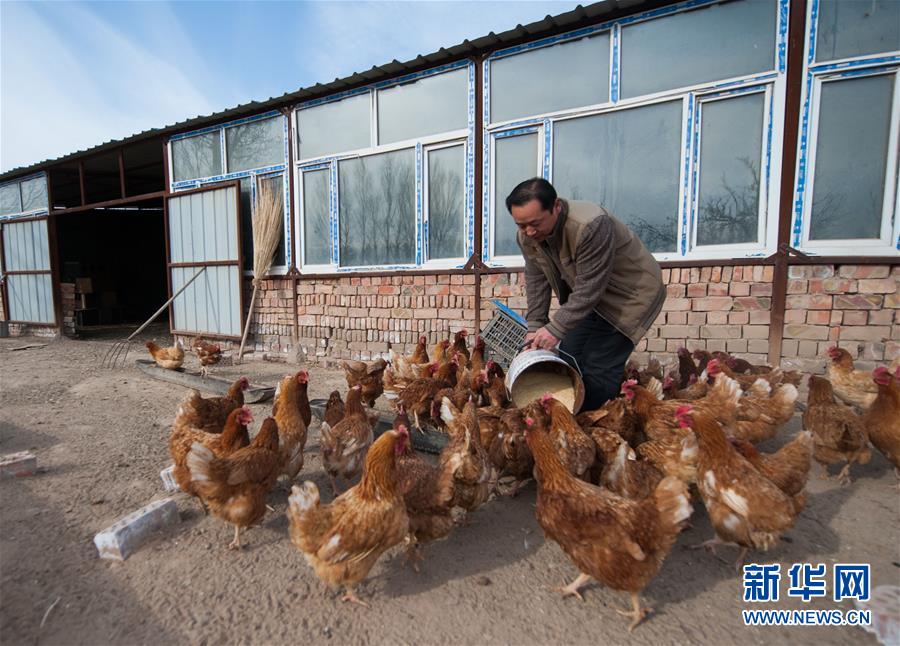 （聚焦十三五）（4）“能上能下”——內蒙古五原打造農村電商新模式