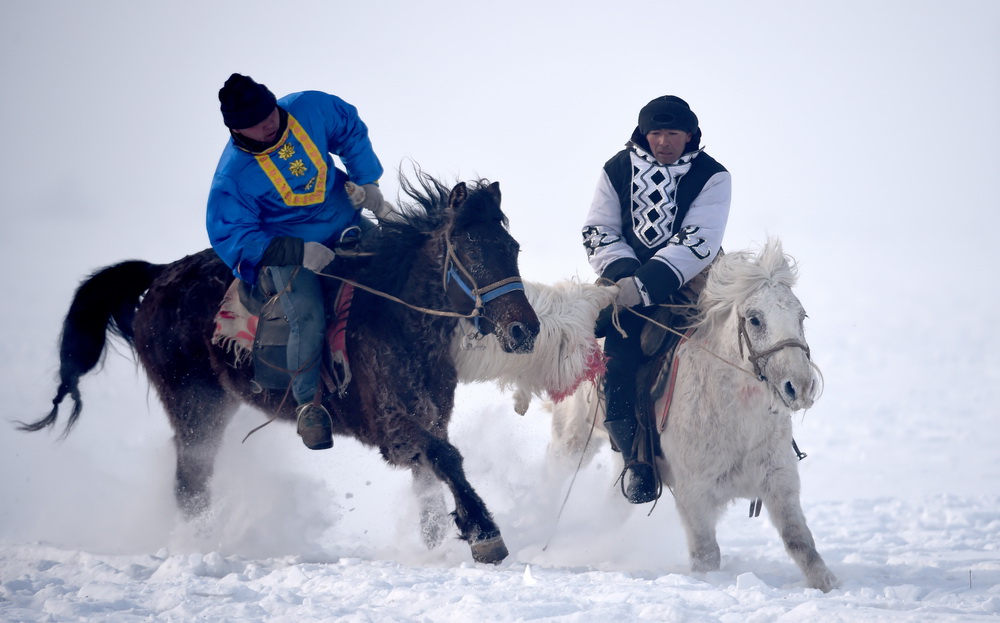 雪地叼羊图片