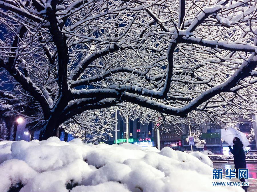 （晚報）（4）南京降雪