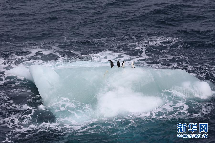 （第32次南極科考）（8）印象南極：冰山奇觀