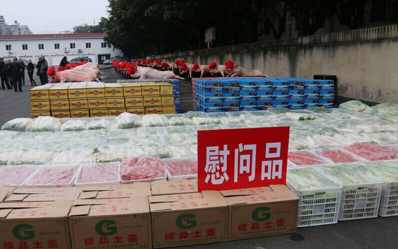 四川凉山政府慰问驻军 60头肥猪头戴红花 