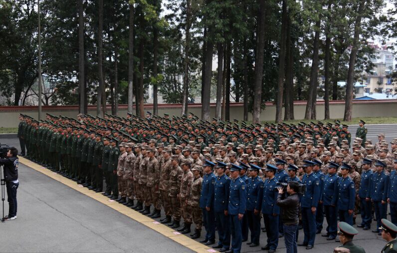 四川凉山政府慰问驻军 60头肥猪头戴红花 