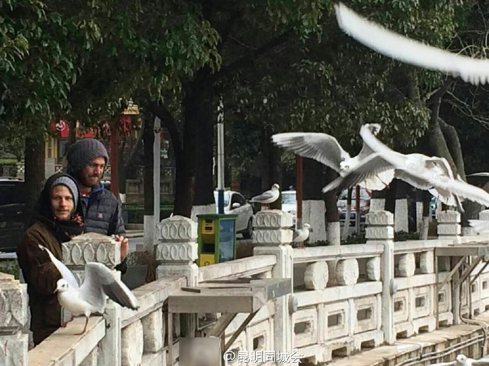 网曝昆明翠湖老外持枪打红嘴鸥