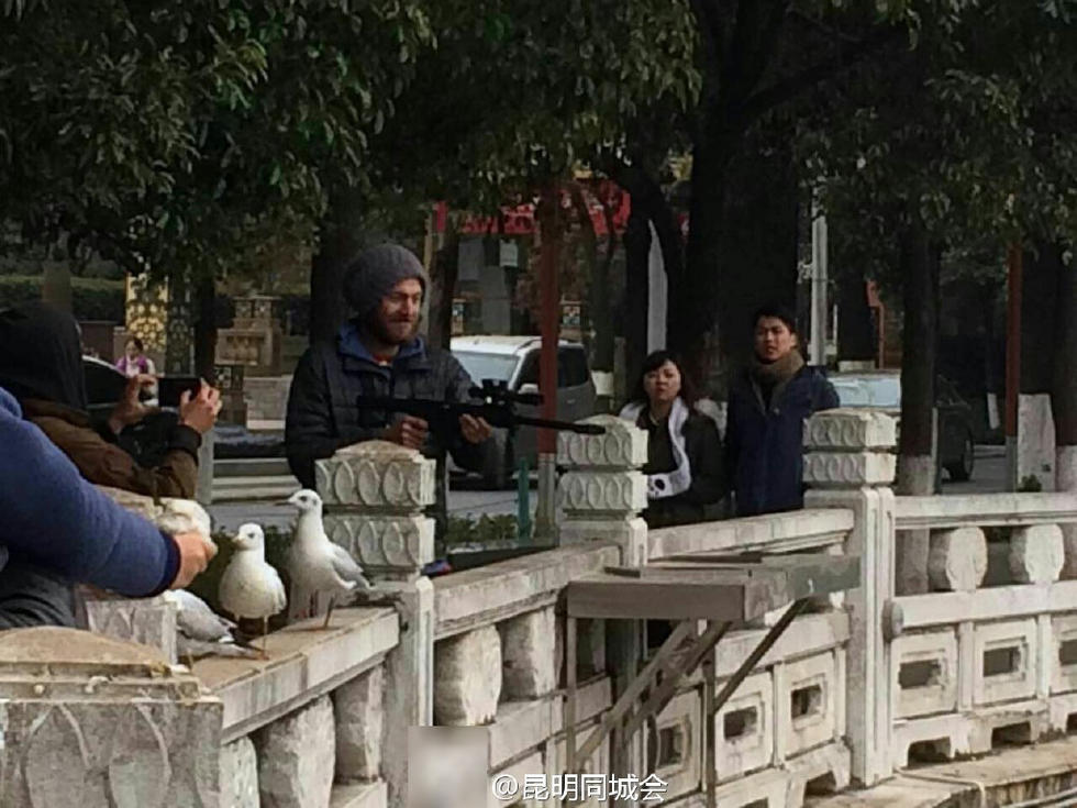 网曝昆明翠湖老外持枪打红嘴鸥