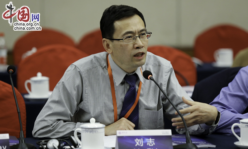 刘志金砖能够让更多的新兴市场国家聚合起来