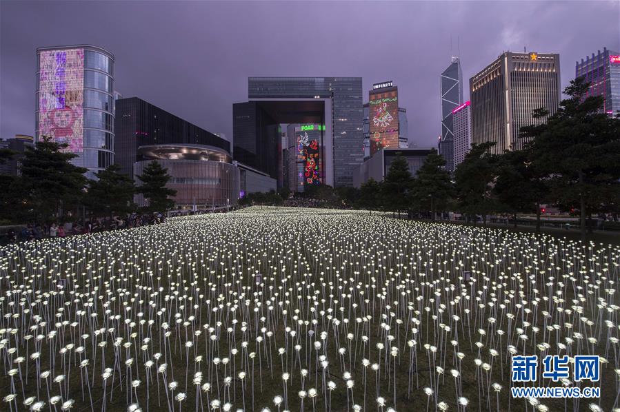 （晚報）（2）香港玫瑰燈海點亮維港