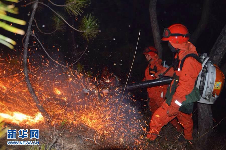 （突发事件）（1）云南香格里拉发生森林火灾 扑救人员1死6伤 明火已扑灭　 