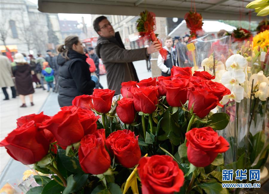 （晚报）（2）克罗地亚：玫瑰和气球走俏情人节