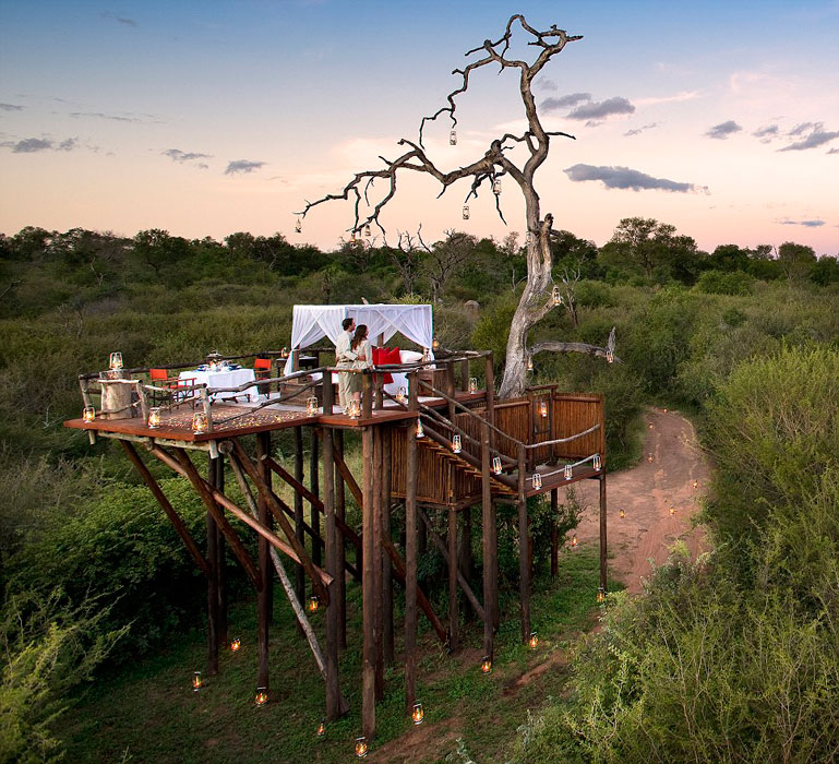 南非推惊险树屋酒店 让游客与动物同住