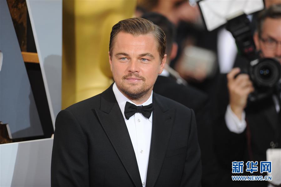 （晚报）（4）奥斯卡红毯星光
