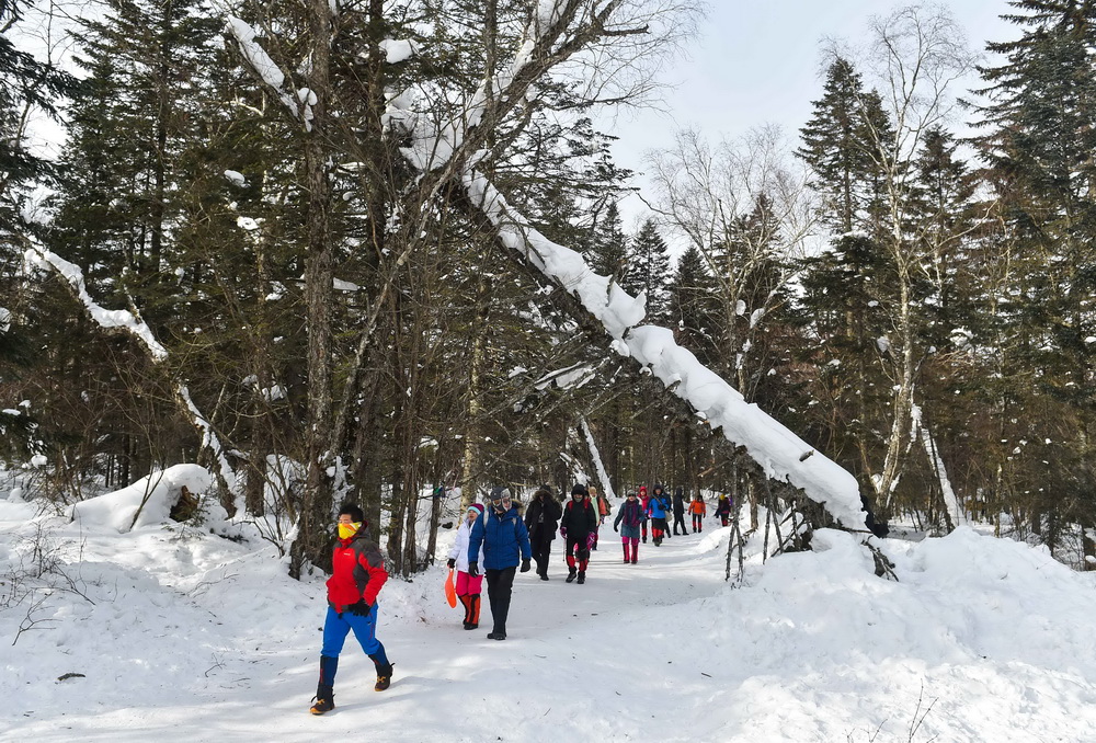 2月6日，游客在吉林延边仙峰国家森林公园内的老里克湖景区体验冰雪森林生态游。 新华社记者许畅摄