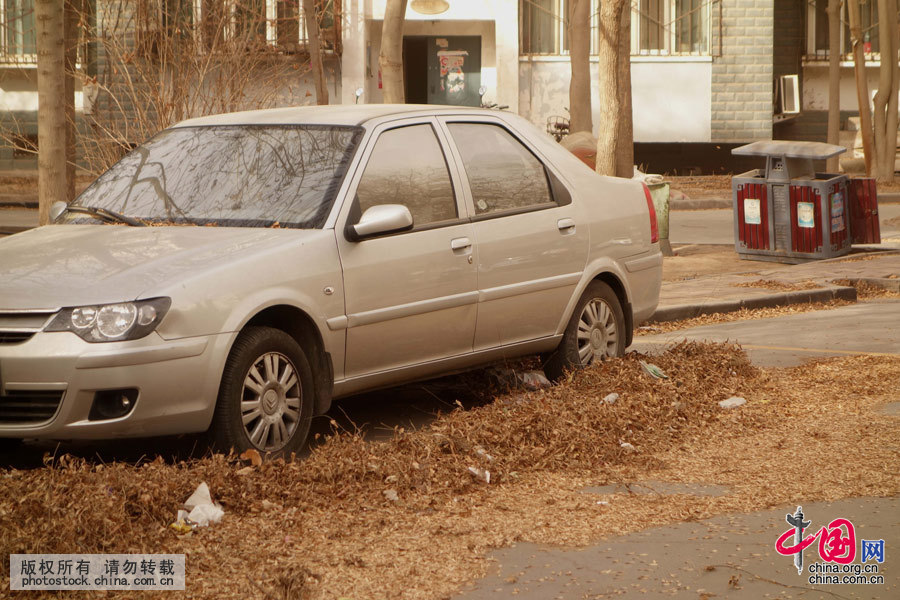 3月3日，吐鲁番市高昌区一小区被大风刮落的树叶堆在停放的车辆旁。中国网图片库 姜晓明摄