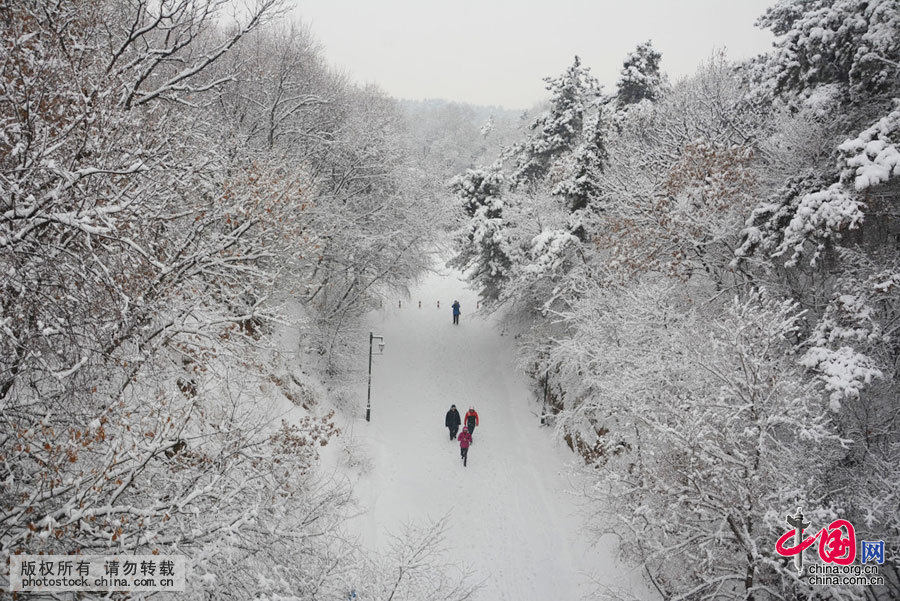  2016年3月2日，在吉林省吉林市北山公园，市民冒雪出行，观赏雪景。当日下午开始，吉林省吉林市降下3月春季首场大雪，城市上下一片银装素裹，仿佛让人置身于美丽的冰雪童话世界。中国网图片库 王凯冬 摄