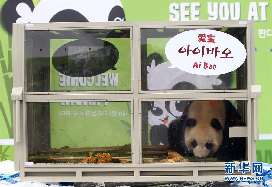 （國際）（1）兩隻大熊貓安全抵達南韓
