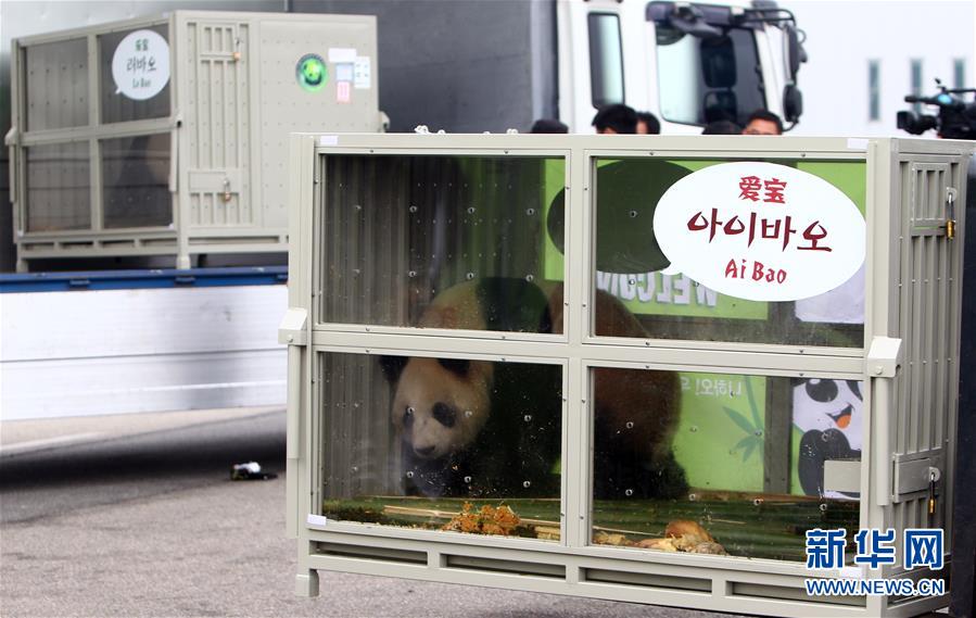 （國際）（2）兩隻大熊貓安全抵達南韓