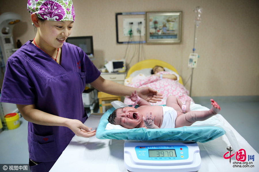 侯梦茹小心翼翼地将宝宝放到电子称上（2月26日摄）。图片来源：CFP 