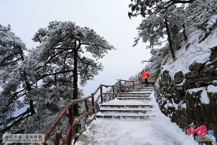 受强冷空气影响，黄山景区降起大雪，3月10日，游客在黄山风景区游览观光雪景。中国网图片库 施广德 摄
