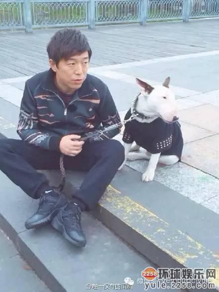 孙红雷和黄渤这两只汪 承包了我一天的笑点~!