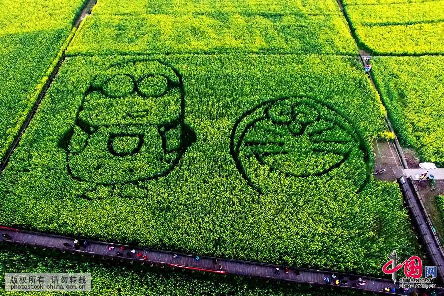 3月12日，在四川省广汉市西高镇用无人机航拍的“种植”于油菜花田中的“机器猫”等萌图。中国网图片库 邱海鹰 摄