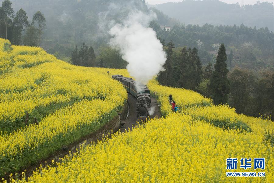 (社会)(6)开往春天的“小火车”
