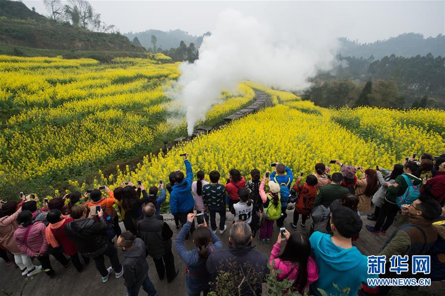 （社会）（1）开往春天的“小火车”
