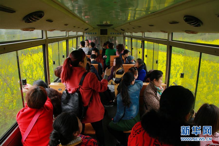 （社会）（7）开往春天的“小火车”