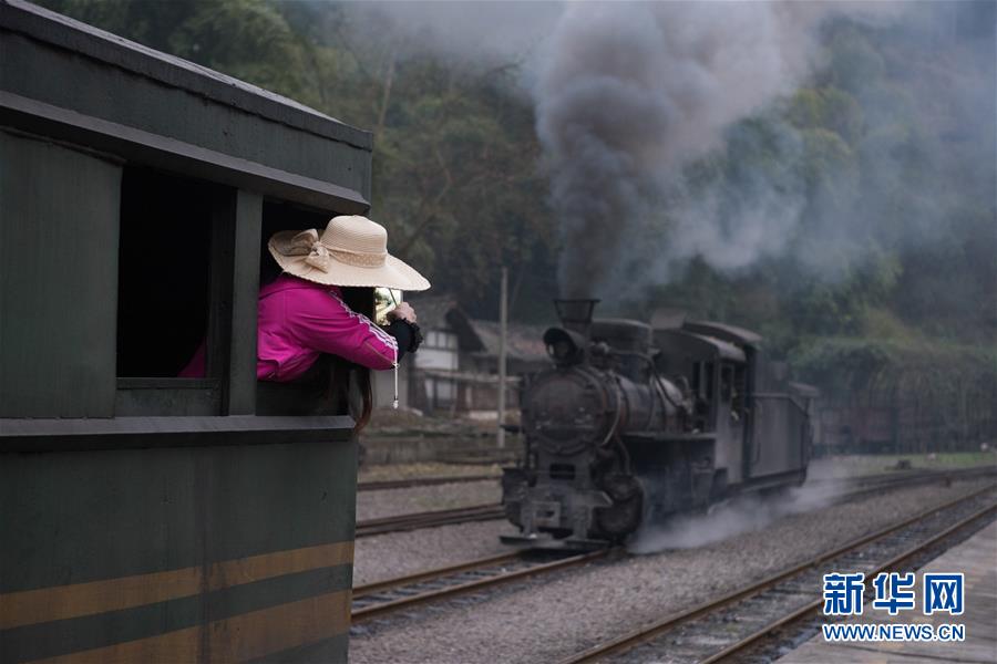 （社会）（5）开往春天的“小火车”