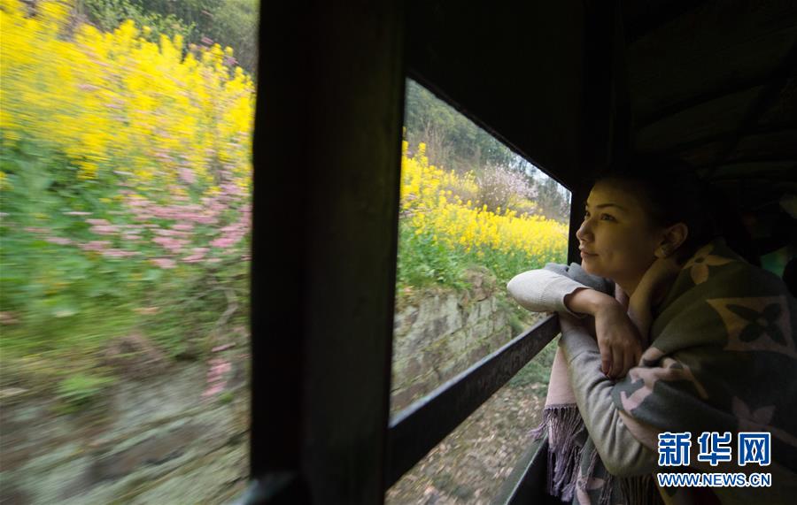 （社会）（2）开往春天的“小火车”