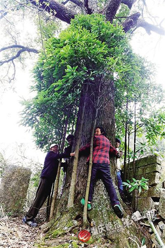 三峡库区移民人口_秭归县三峡库区二期移民掀起高潮(3)