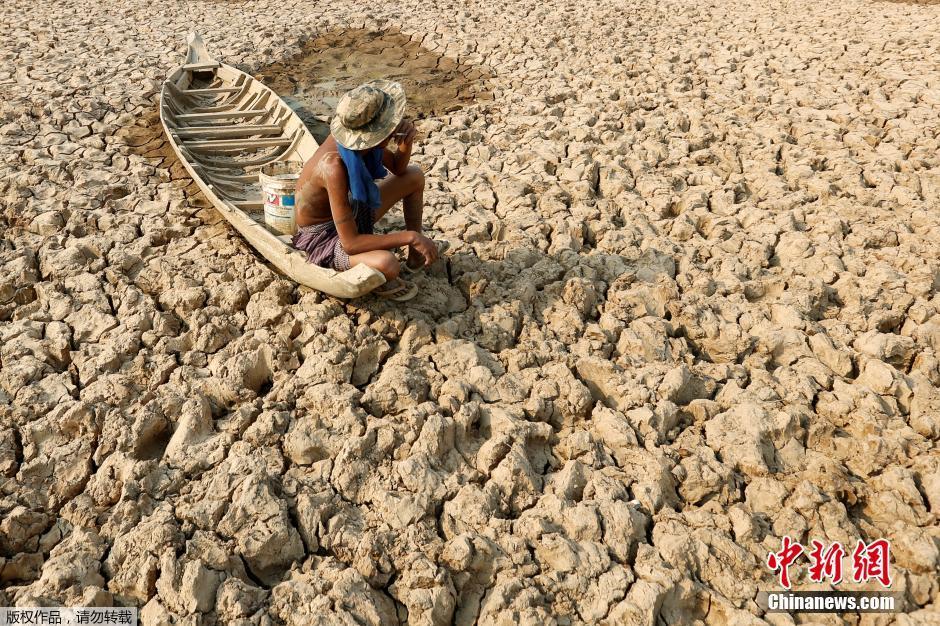 柬埔寨遭遇干旱 河水干涸鱼被晒成鱼干(组图)