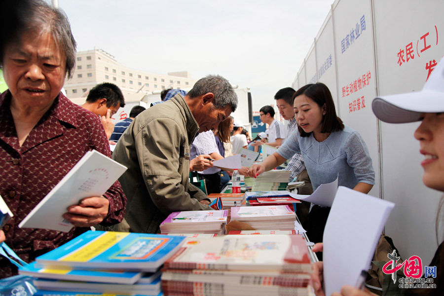 “你在他乡还好吗”志愿宣传服务活动现场。中国网 张钰摄影