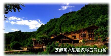 【芝麻蕉租车】把新能源车放到人民最需要的地