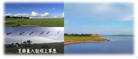 【芝麻蕉租车】把新能源车放到人民最需要的地