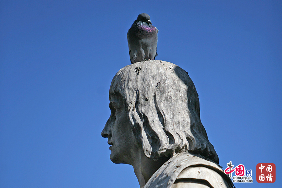 站在雕像头上休息的鸟儿