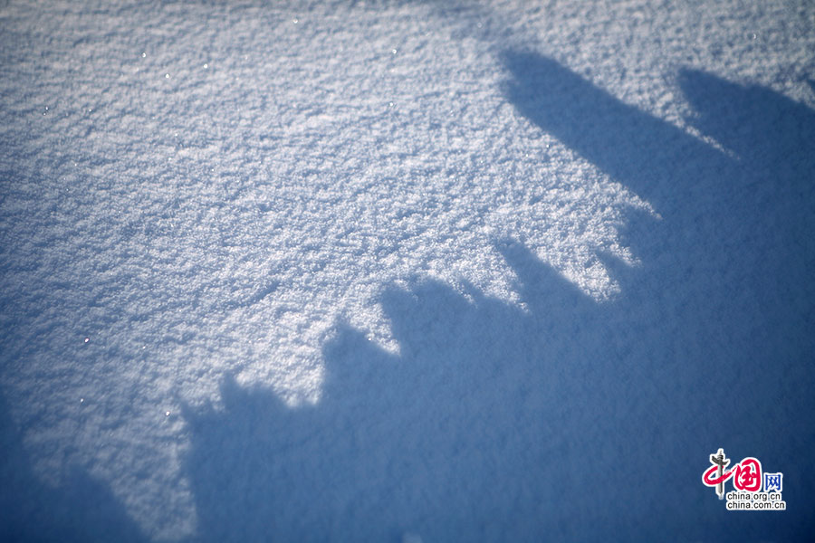 雪中的影子