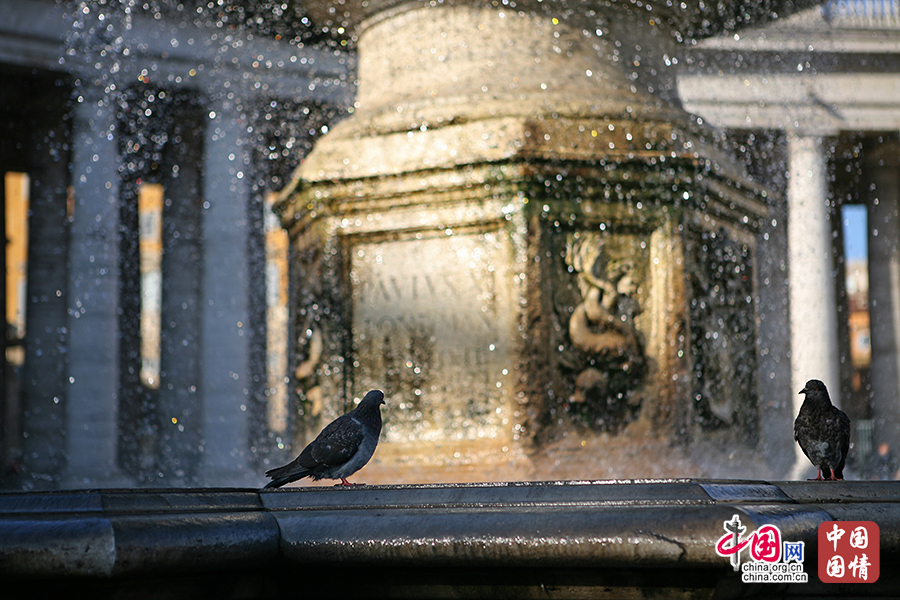 在噴泉的水花中靜立的鳥