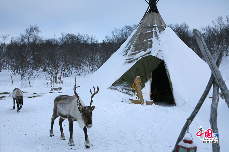 萨米人居住的传统帐篷