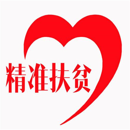 公益事业中的璀璨星河：基金会的力量