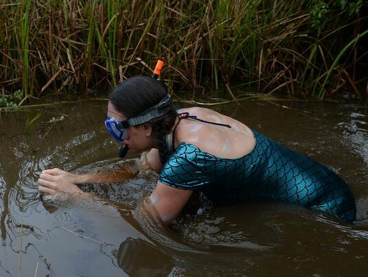英国举行沼泽游泳比赛 参赛者穿潜水装泥浆中较量
